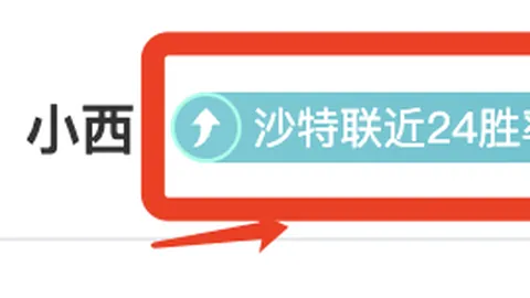 纳达尔戴维斯杯败北网坛生涯谢幕，央视新闻客户端揭秘“告别之作”